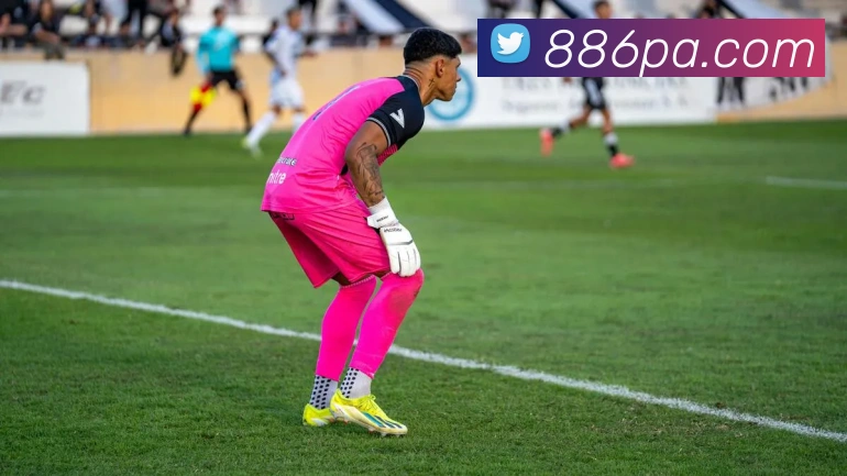 pa视讯平台生态图